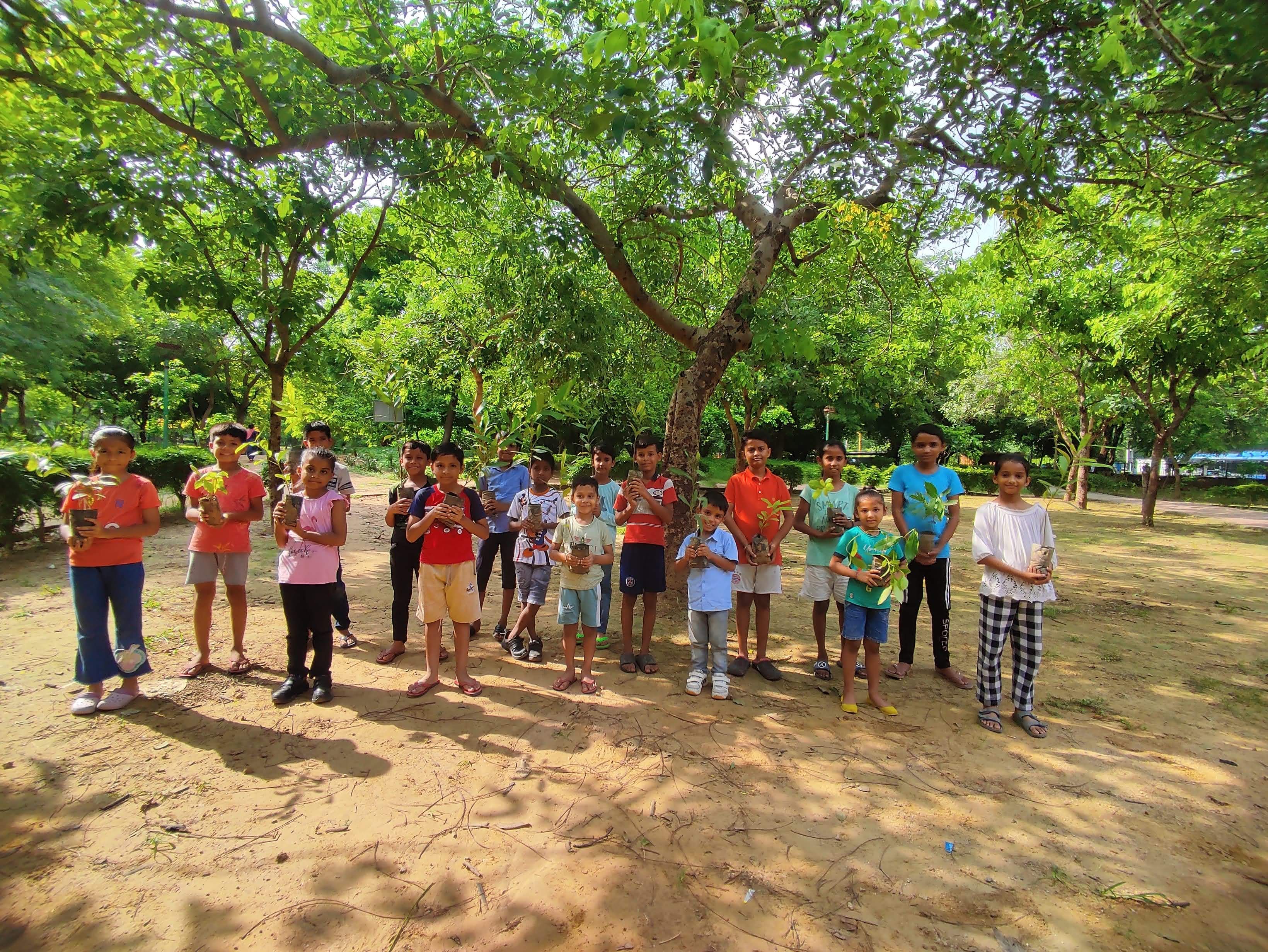 Tree plantation drive Aug 2024