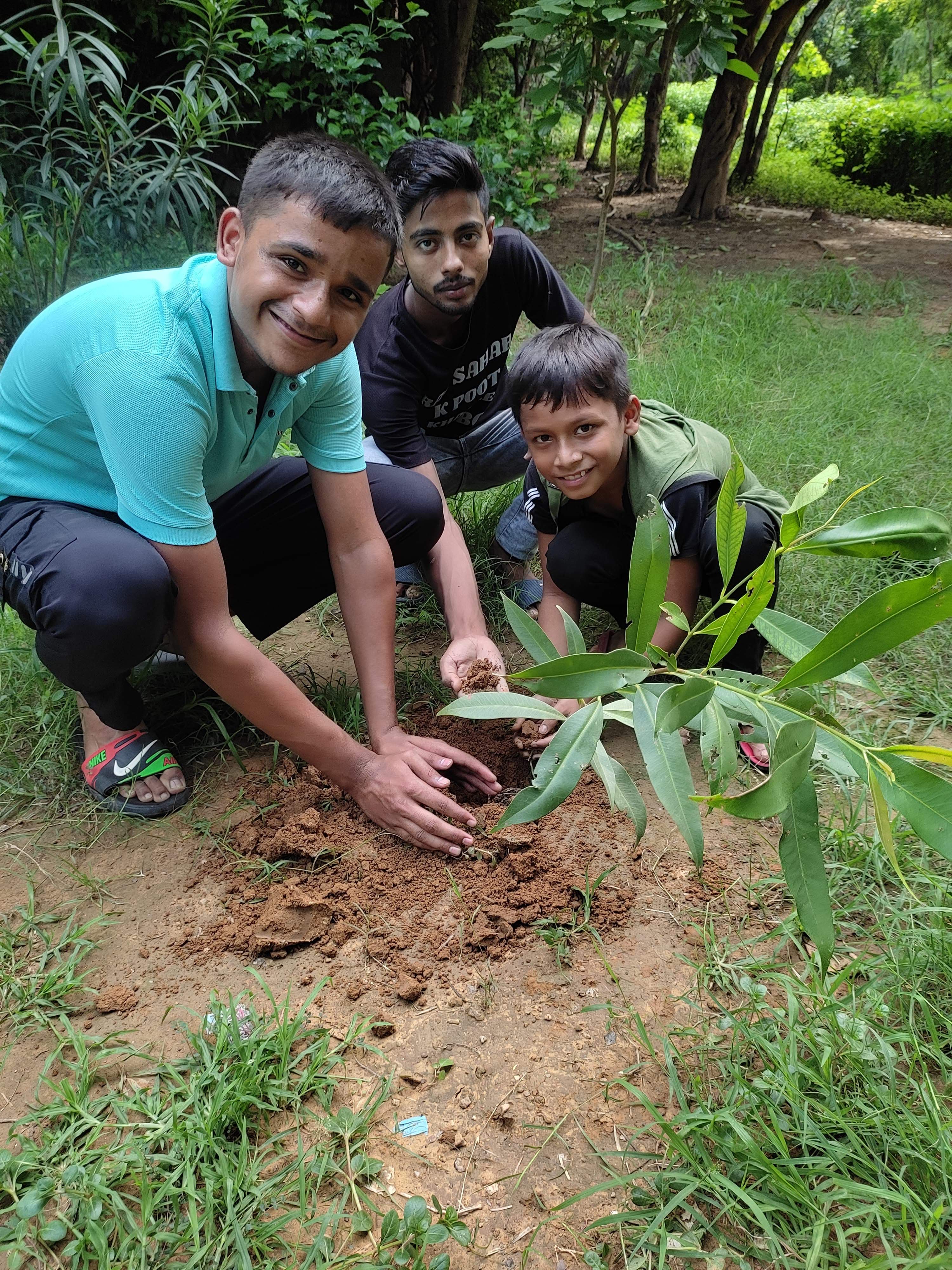 Tree plantation drive Aug 2024