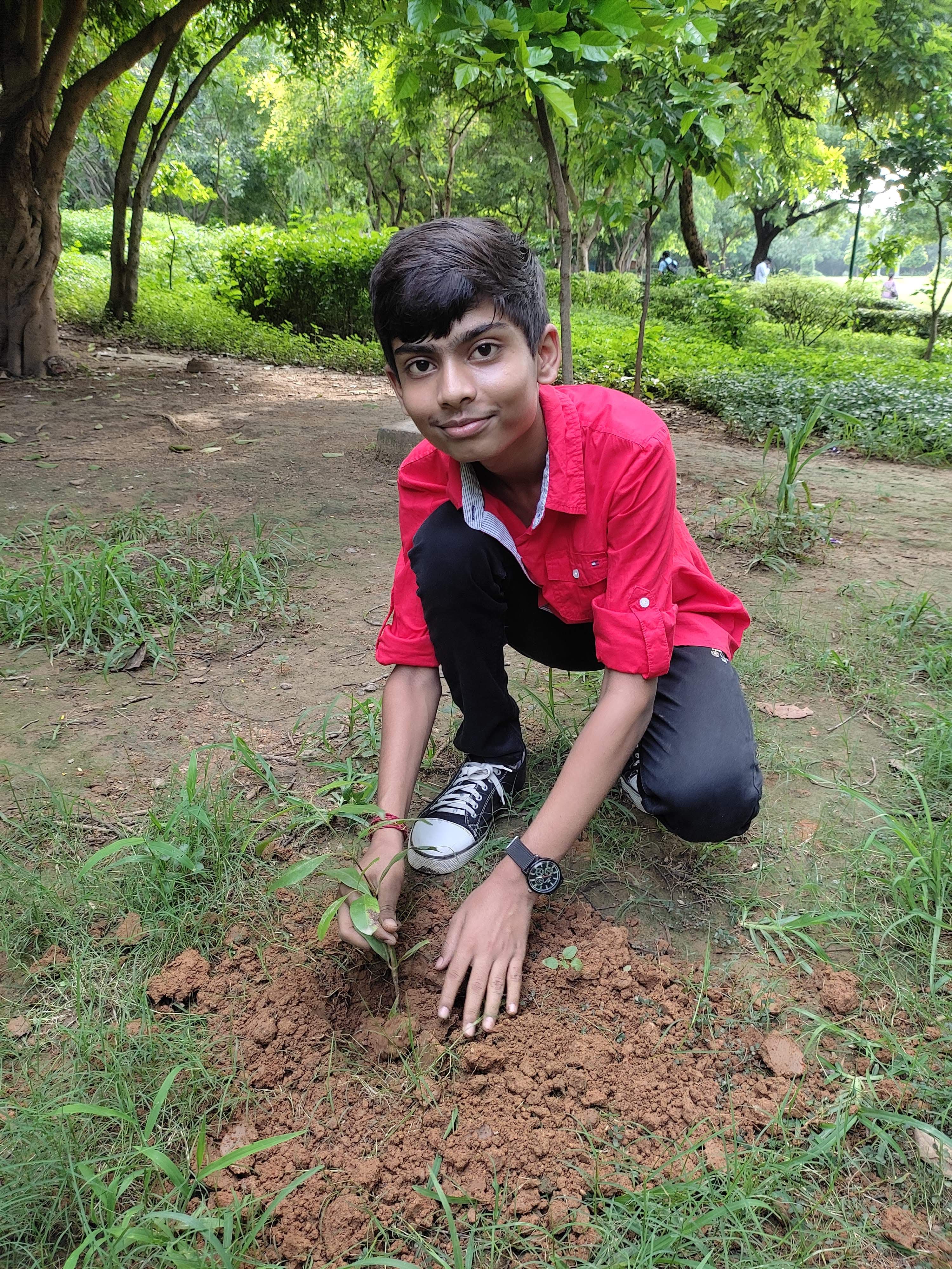 Tree plantation drive Aug 2024