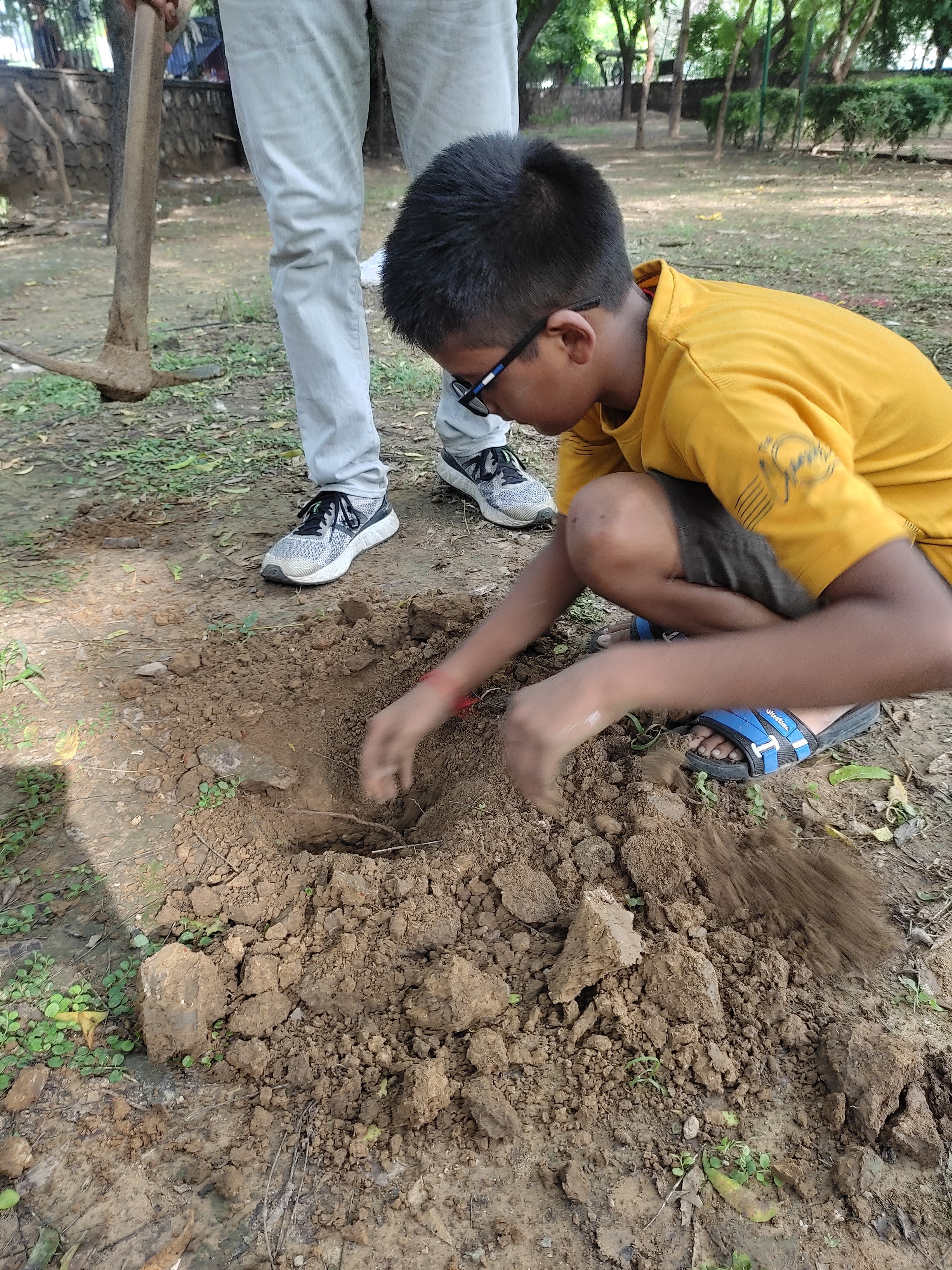 Tree plantation drive Aug 2024