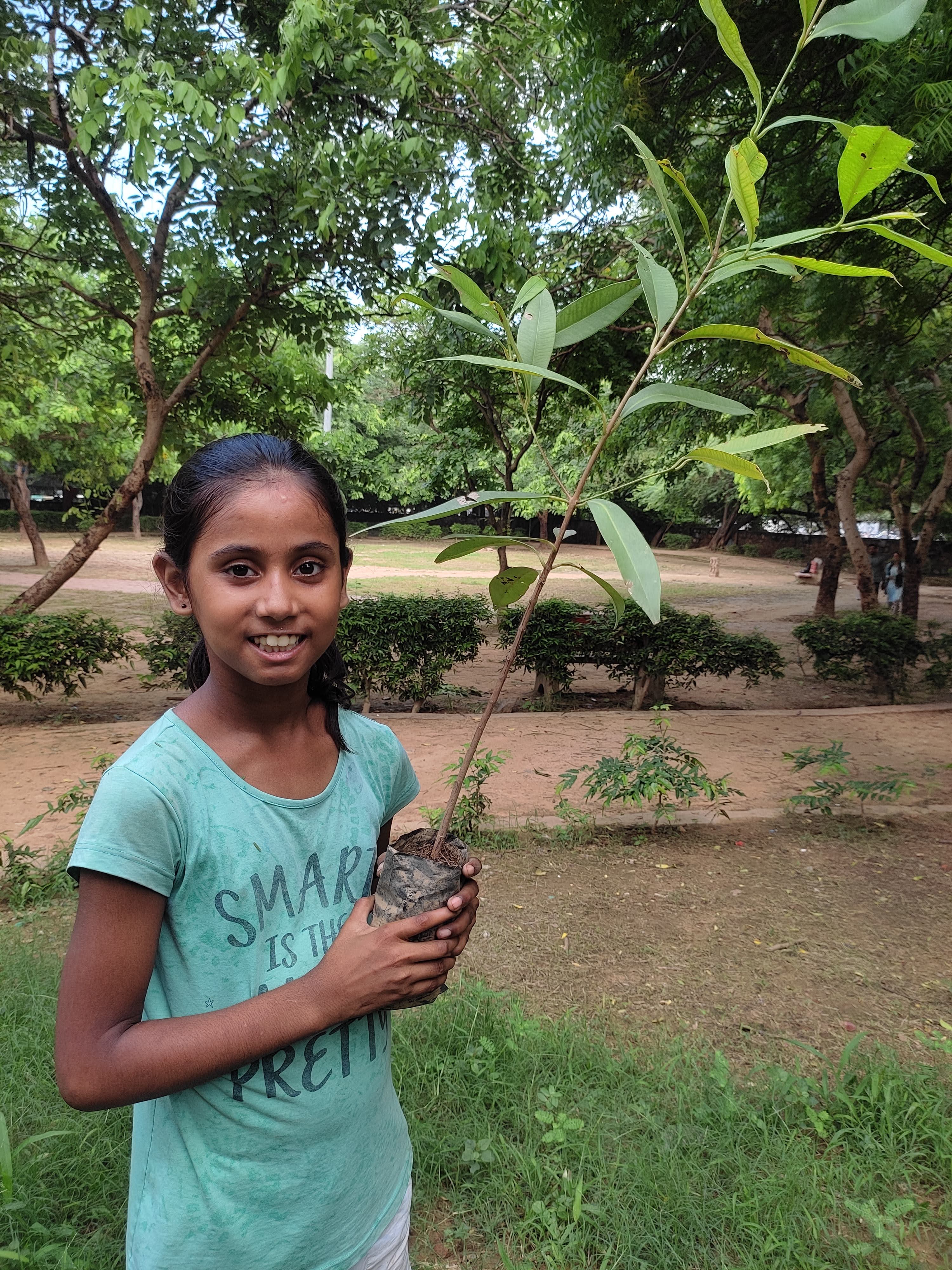 Tree plantation drive Aug 2024